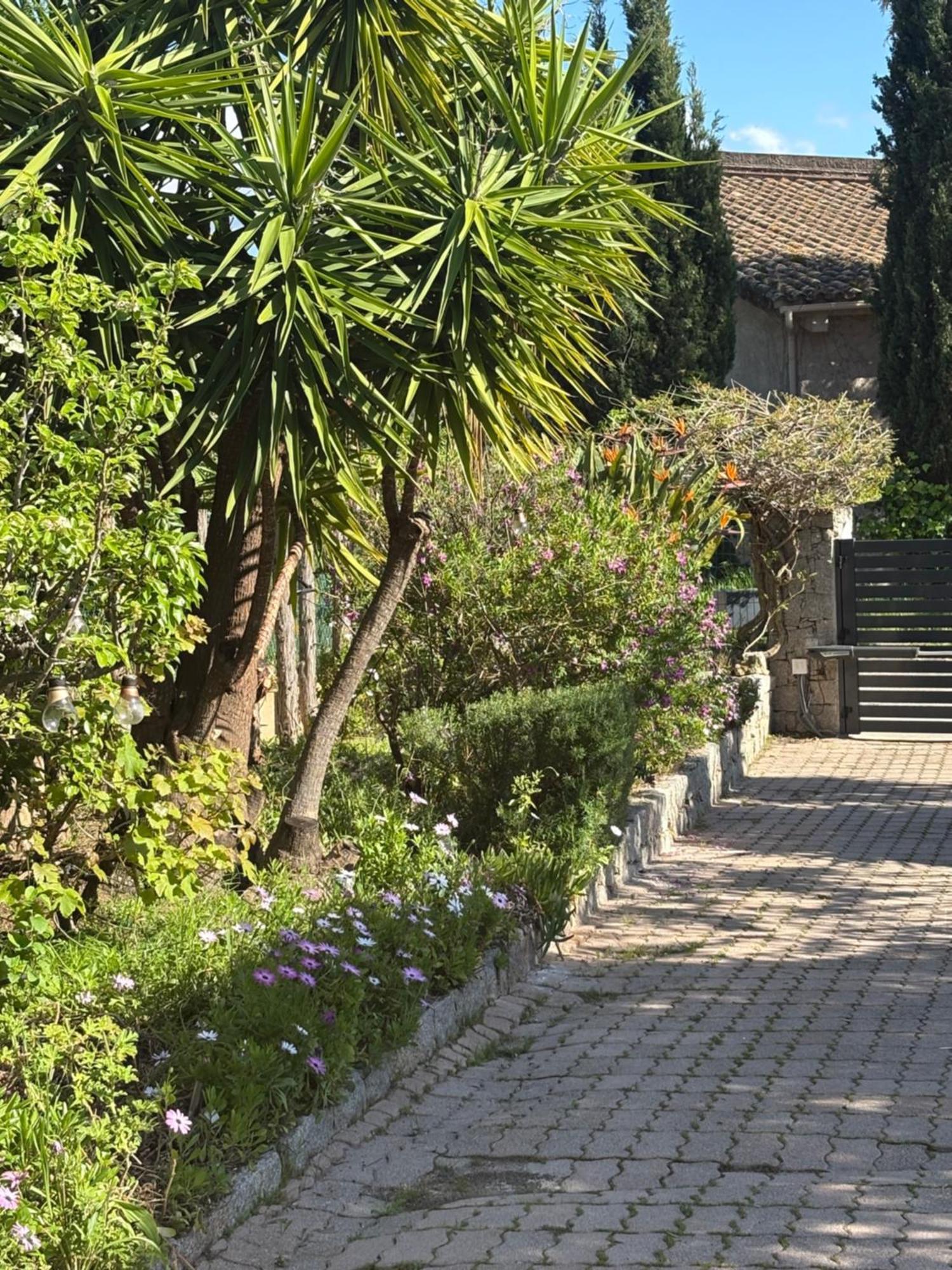 Casa Nova